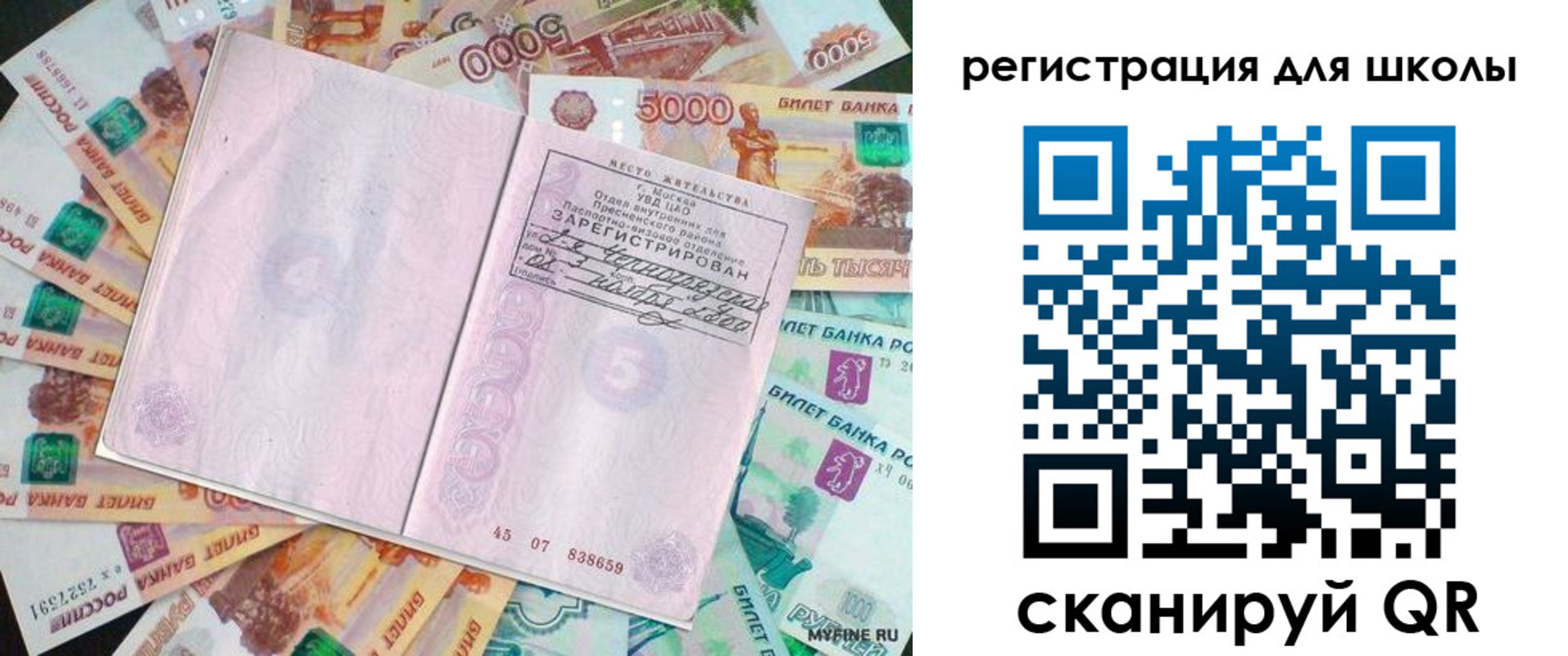 прописка для школы в Александрове